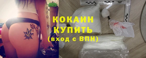прущие крисы Белокуриха