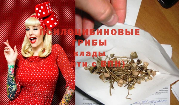 молекула духа Беломорск