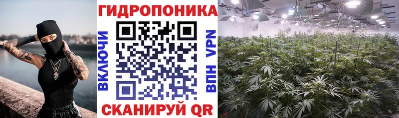 Бошки Шишки AK-47 гидра ссылка Вяземский